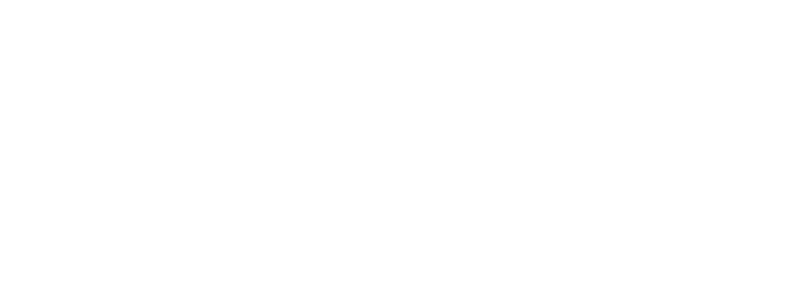 OPENING THE GATES