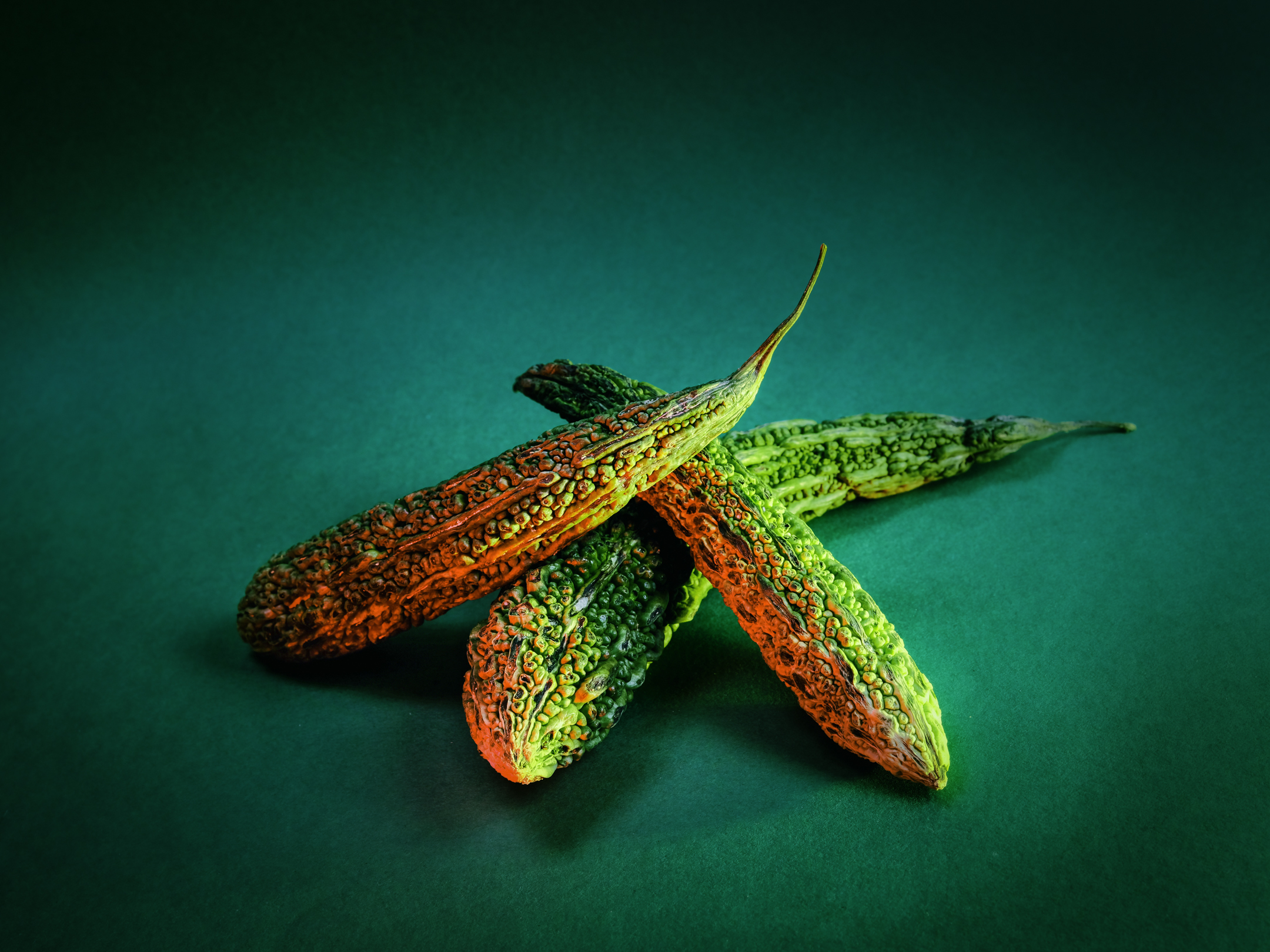 Horgan_Still_Open_Programme
